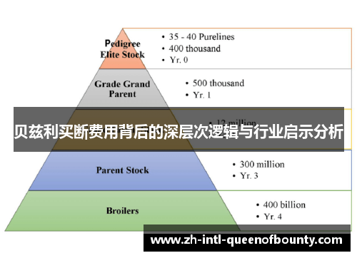 贝兹利买断费用背后的深层次逻辑与行业启示分析