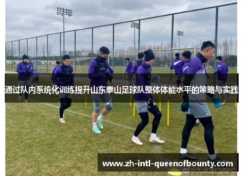 通过队内系统化训练提升山东泰山足球队整体体能水平的策略与实践