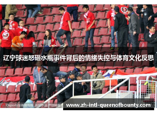 辽宁球迷怒砸水瓶事件背后的情绪失控与体育文化反思