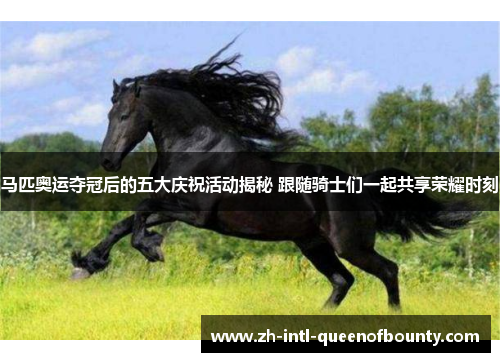 马匹奥运夺冠后的五大庆祝活动揭秘 跟随骑士们一起共享荣耀时刻